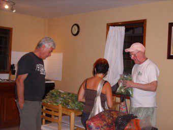 Organic Farming Belize Central America