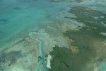 DSC00696