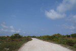 Belize Adventure