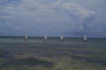 13 Optimus Dinghy San Pedro Sailing Club