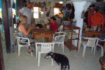 San Pedro Belize Backgammon Blitz tournament