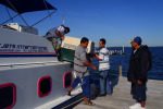 Second dog on the boat san pedro to chetumal water taxi
