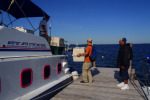 Last but not least Snoopy getting in the boat an pedro to chetumal water taxi