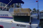 Dogs are ready to go ambergris caye water taxi