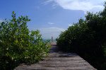 San Pedro Belize beach images