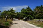 san pedro town ambergris caye belize picture