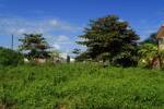 Green Belize