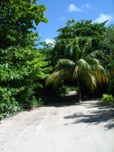north ambergris caye belize
