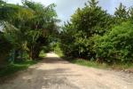 3. Taking the back way to main road living in belize