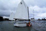 San Pedro Sailing Club Optimist Dingy San Pedro Sailing Club Optimist Dingy