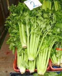 Celery - Requires care and dedication to grow organically in Belize