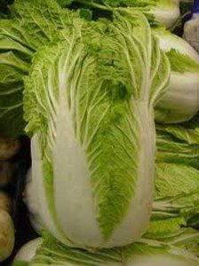 Chinese cabbage