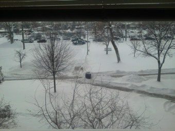 montanna winter