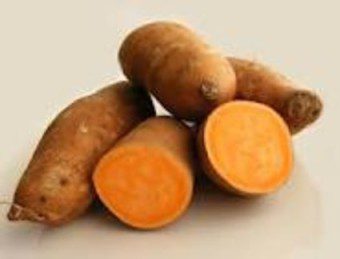 Organic orange sweet potato