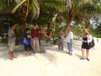 Mangrove transplanting projects