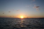 catamaran sunset cruise