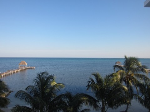 ambergris caye island