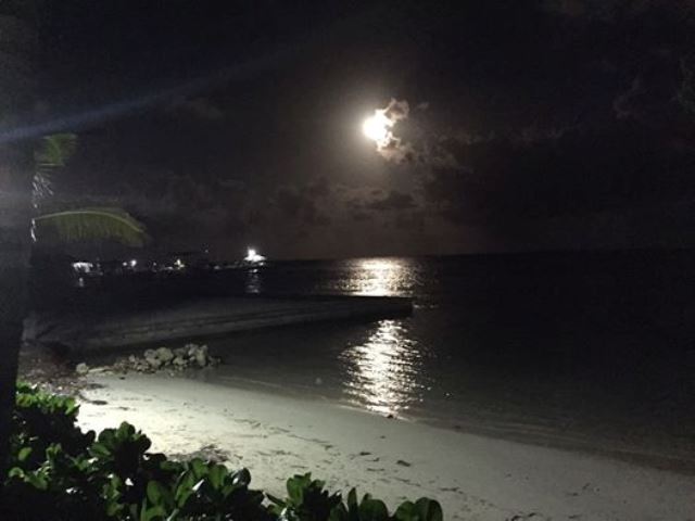 caribbean sea belize