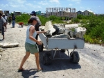 Cindy helping move rocks