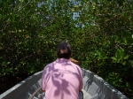 Mangroves at Northern Caye