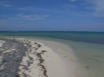 Beach at Northern Caye