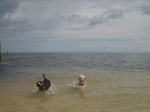 Molly and Sandy in the water